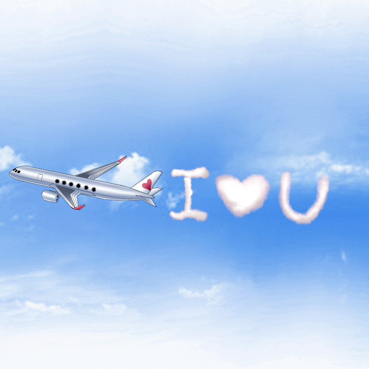 Luxury Private Jet Gift