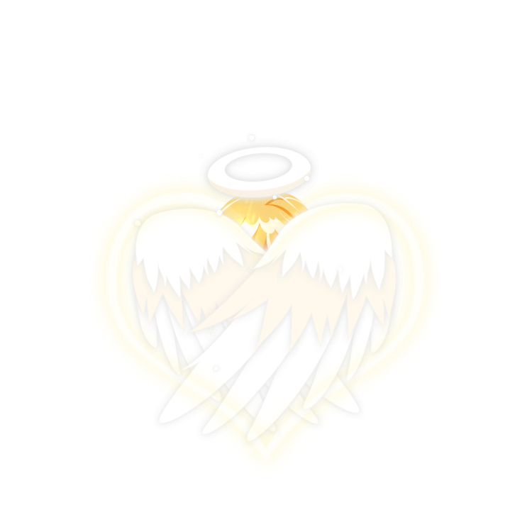 Angel Halo Wings Effect